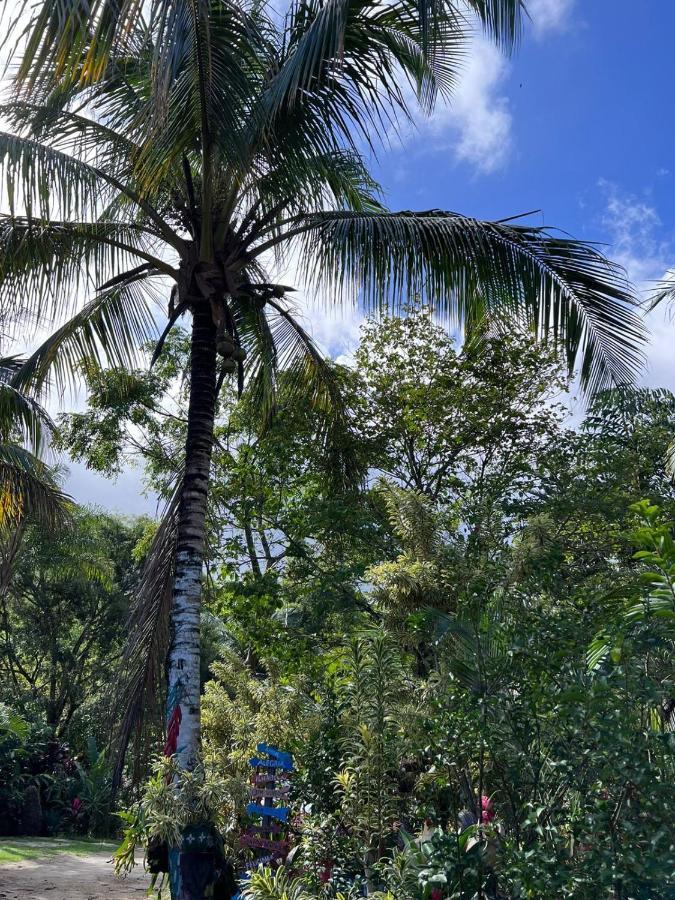 Recanto Da Vera Ilhabela
