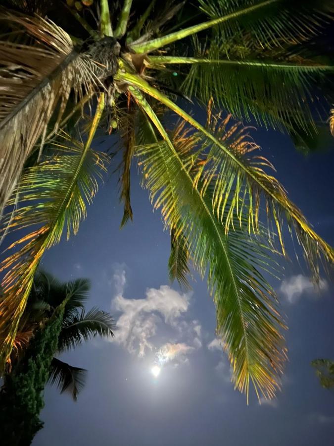 Alojamento de Turismo Selvagem Recanto Da Vera Ilhabela