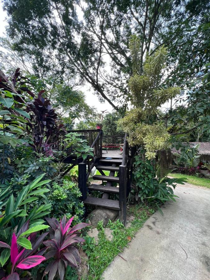 Alojamento de Turismo Selvagem Recanto Da Vera Ilhabela
